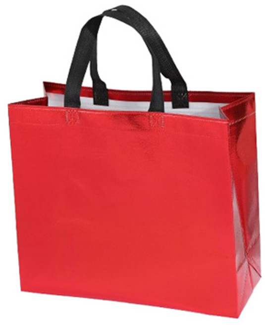 마켓피오 홀로그램 컬러 부직포 쇼핑백 타입1 M, 20개, 1개입