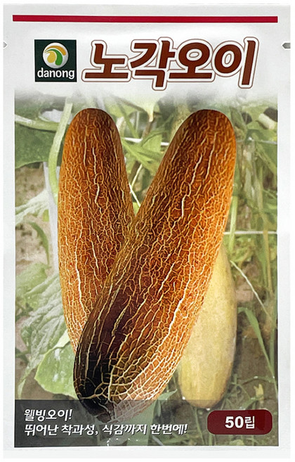 다농 노각오이 씨앗 50p, 혼합색상, 1개
