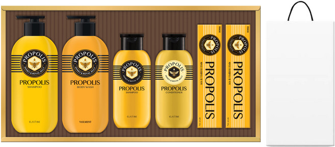 LG생활건강 프로폴리스 에센셜 선물세트 + 쇼핑백, 1세트