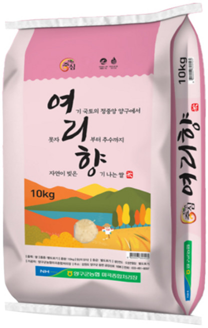 농협 자연중심 양구 여리향미 쌀 백미, 10kg, 1개, 상등급