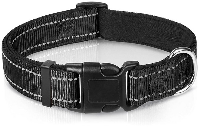 럭키페터 강아지 야간 빛반사 웨빙 목줄, 블랙, 1개
