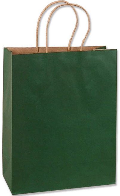 아이엔피 칼라 종이 쇼핑백, 그린, 15개