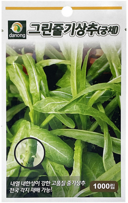 다농 그린 줄기 상추씨앗 1000p, 1개