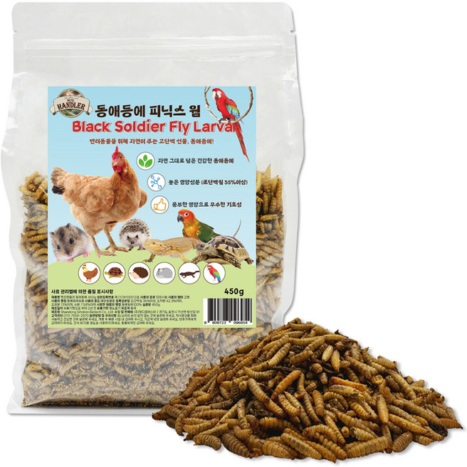 펫츠핸들러 동애등에 피닉스웜, 450g, 1개