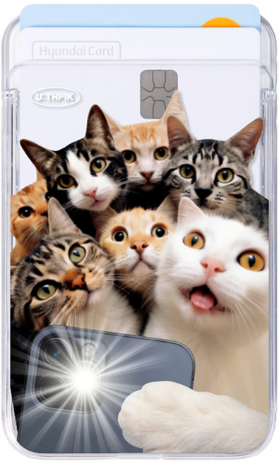 유스픽 디자인 맥세이프 슬라이드 투명 카드포켓, 105 셀프캣츠 셀피켓츠, 1개