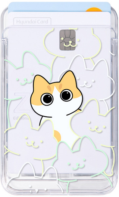 유스픽 디자인 맥세이프 슬라이드 투명 카드포켓, 46 냥글냥글 치즈, 1개