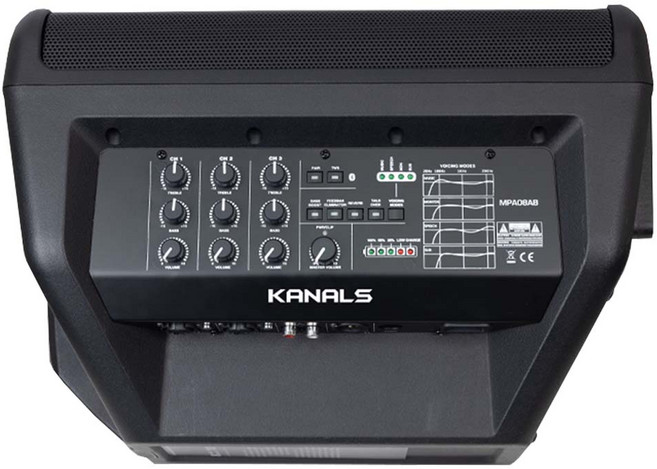 카날스 충전식 버스킹 기타 악기용 블루투스앰프 250W, BSK-300, 블랙