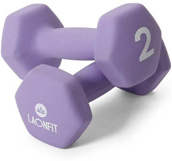라온핏 아령 라벤더 퍼플, 2kg, 2개