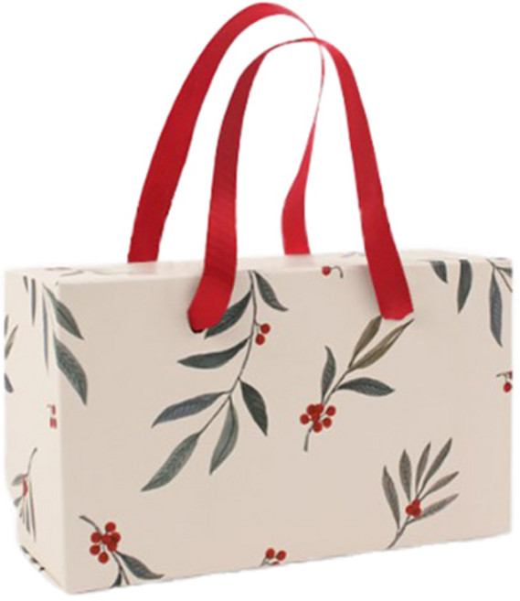 헬로우모리스 홀리 박스백M, 혼합색상, 5개