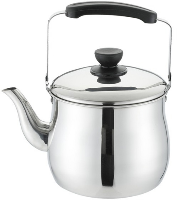 홈즈 인덕션 스텐 들통주전자, 혼합색상, 1개, 7L