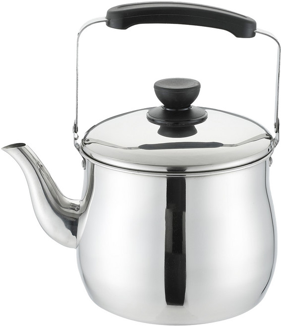 홈즈 인덕션 스텐 들통주전자, 혼합색상, 1개, 3L