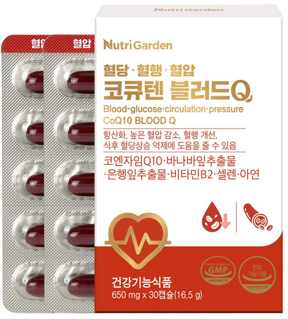 뉴트리가든 코큐텐 블러드Q 16.5g, 1개, 30정