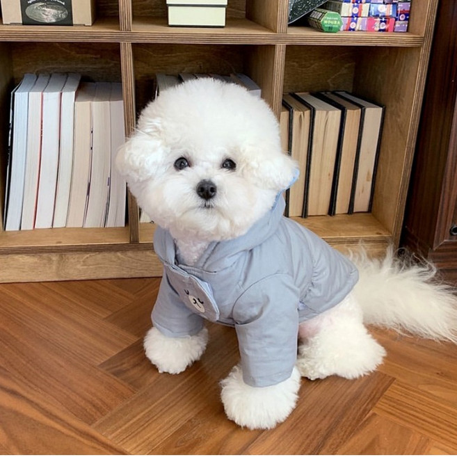 퍼피드림 강아지 가볍고 따듯한 후드 패딩점퍼 00103, 블루, 1개