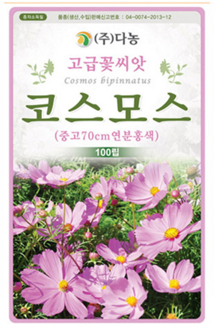 다농 중고 70cm 연분홍색 코스모스 씨앗 100립, 1개