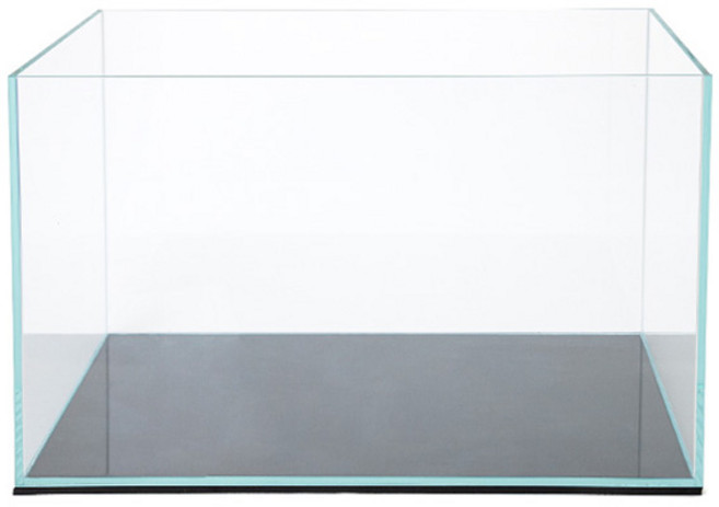 유피코리아 사각어항 올디아망, 1개