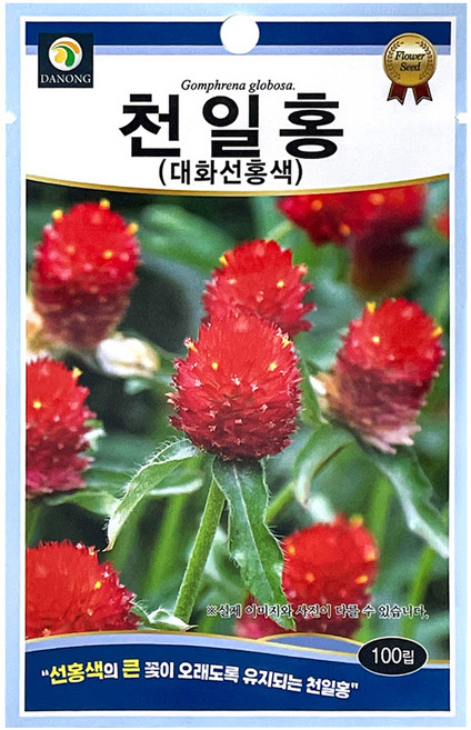 다농 천일홍 대화선홍색 씨앗 100립, 1개