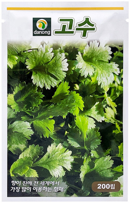다농 고수 씨앗 200p, 1개