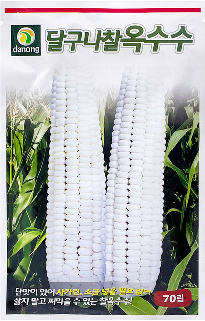 다농 달구나찰옥수수 씨앗 70p, 1개