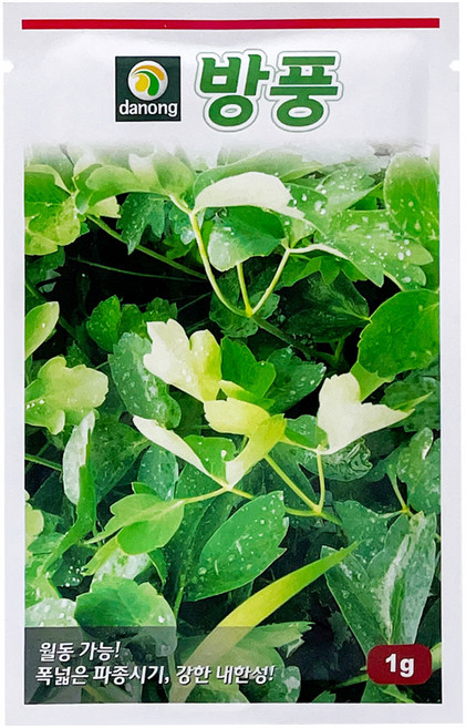 다농 방풍 씨앗 1g, 1개