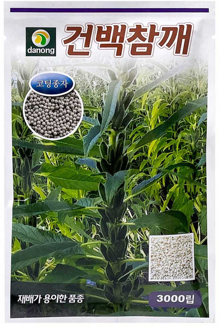 다농 건백참깨 코팅종자 씨앗 3000p, 1개