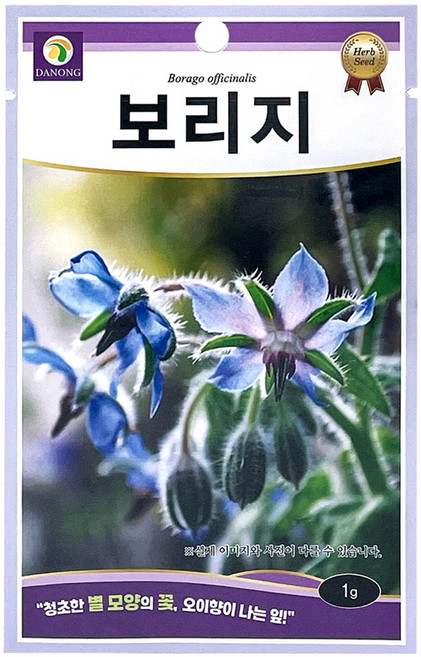 다농 보리지 씨앗 1g, 1개