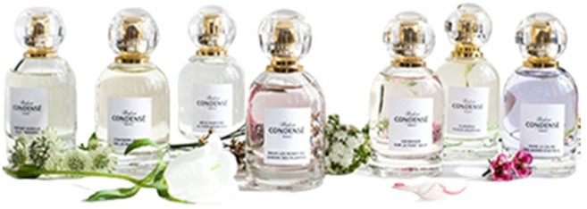 콩당세 엥 보야지 올팍티브 아 트라베 파리 오 드 퍼퓸 15ml x 7종 세트, 1개