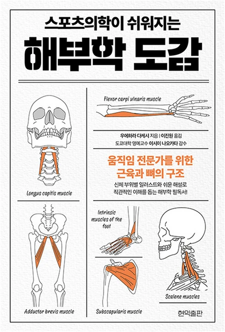 스포츠의학이 쉬워지는 해부학 도감, 현익출판, 우에하라 다케시 - 쿠팡