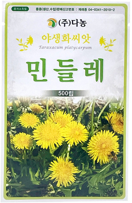 다농 민들레 씨앗 500p, 1개