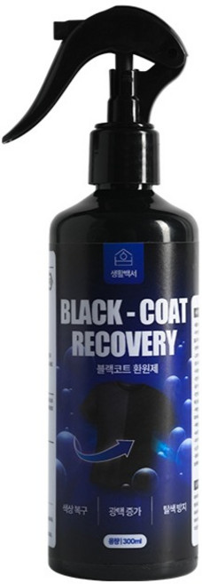 생활백서 블랙코트 환원제 색상 복원 스프레이 1개, 300ml, 1색
