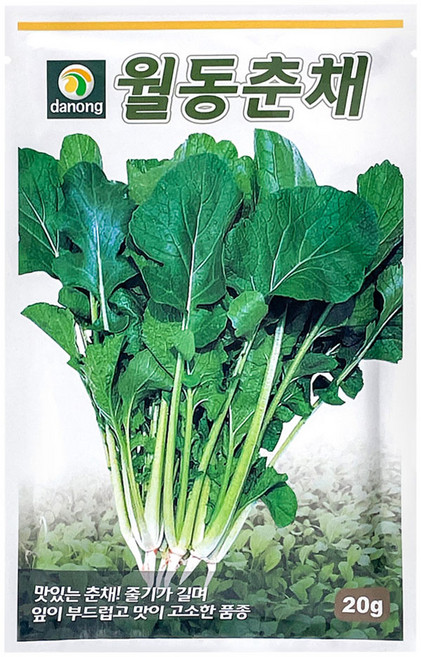 다농 월동춘채 씨앗 20g, 1개
