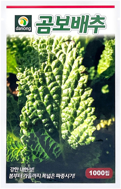 다농 곰보배추 씨앗 1000p, 1개