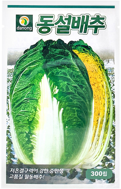 다농 동설배추 씨앗 300p, 1개