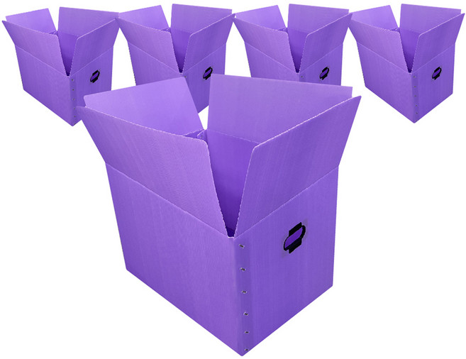 광동 손베임방지 이사박스, 보라색, 5개