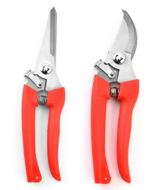 온업 컬러 전지가위 2종 세트 레드, 1세트