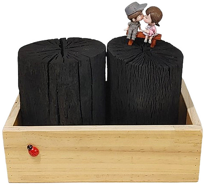 가꾸지오 우드박스 + 참숯 1.5kg 세트, 1세트