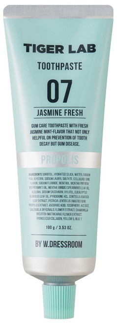 타이거랩 프레시 잇몸 케어 치약, 100g, 1개