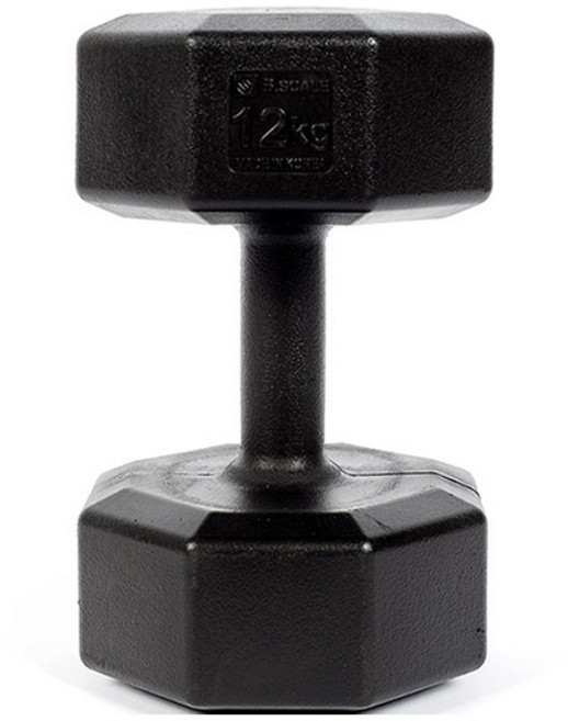 반석스포츠 K아령, 12kg, 1개