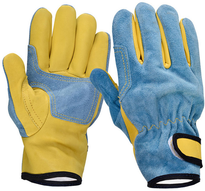 Wellz 우피 양피 내피유 알곤장갑 양손착용 세트 KAG-240X, 파랑 + 황색, 1세트