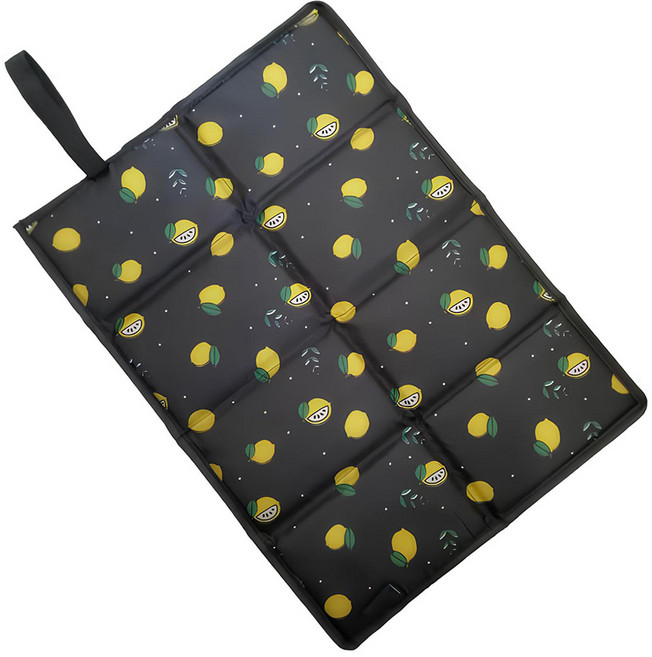 로즈온 접이식 경량 미니매트, 블랙