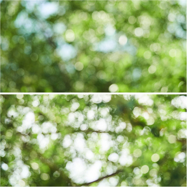 대한 사진 촬영 소품 자연풍경 양면 배경지 초록빛 풍경, 1개, PABP-PGB 803