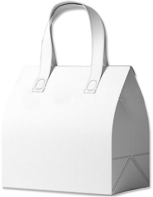 아이엔피 보온보냉 부직포 손잡이백, 화이트, 10개