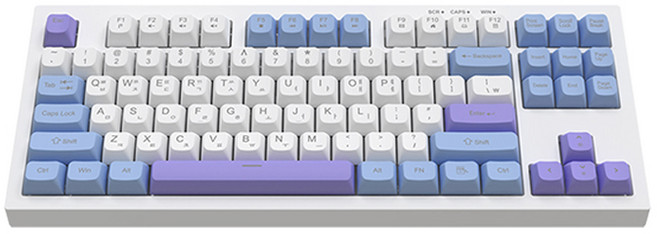 COX TKL 3TONE 멤브레인 유선 텐키리스 키보드, White plate With 3color, CMK87, 제조사축