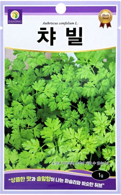 다농 챠빌 씨앗 1g, 1개