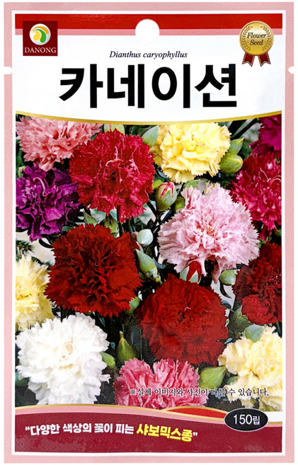 다농 카네이션 씨앗 150립, 1개