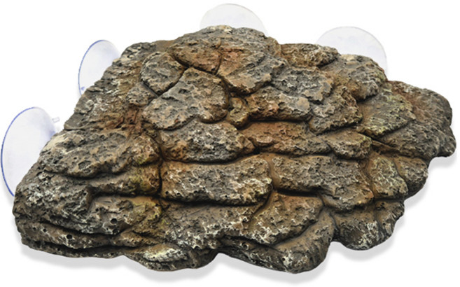 그로비타 거북이 쉼터 032 중형 17 x 12.5 x 4.5 cm, 1개