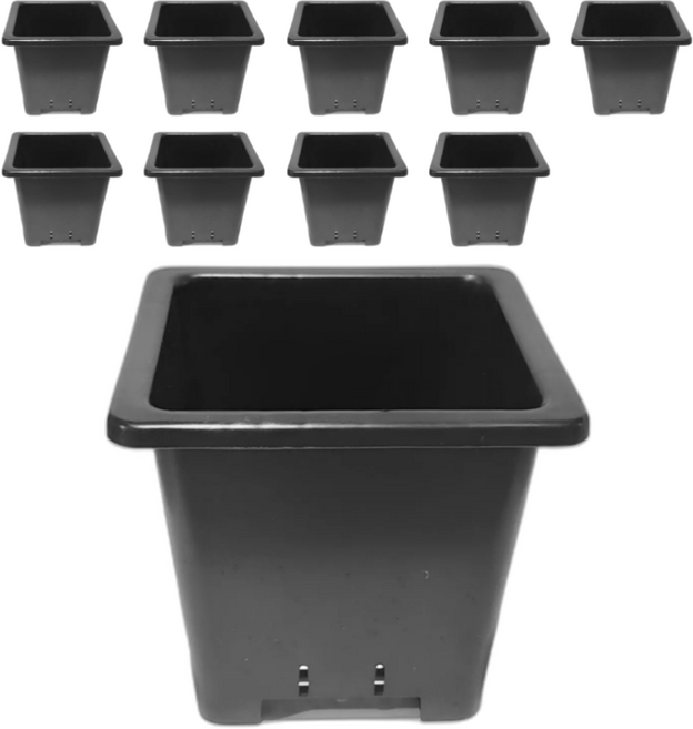 에코스퀘어 포트 플라스틱 사각 화분, 10개, 블랙