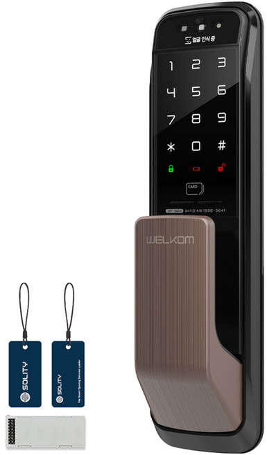 솔리티 3D 얼굴인식 무타공 푸시풀 손잡이 도어락 + WIFI 모듈 패키지, WP-500A, 고객직접설치