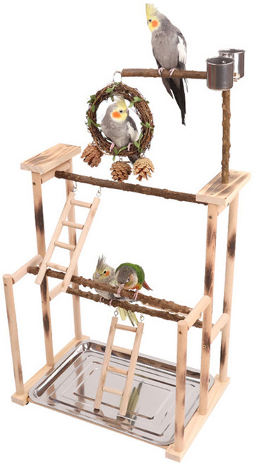 칠시 앵무새 후추나무 놀이터 대형, 혼합색상, 1개