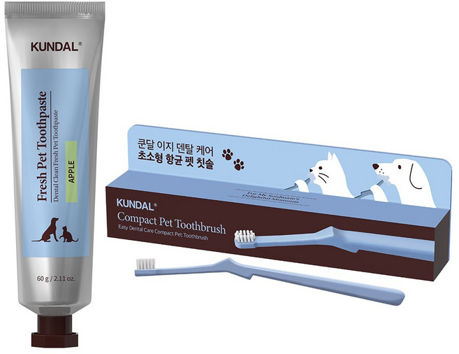 쿤달 반려동물 칫솔 + 치약 60g 세트 사과향, 1세트