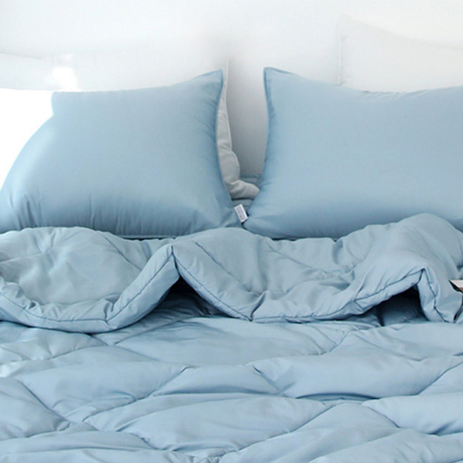 아망떼 드림웰 집먼지 진드기 알러지케어 슬림 차렵이불 2겹 베개 세트